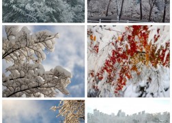 은빛요양원 앞 공원은  나무마다 눈꽃이 피어 설경을 이루었습니다~^^~