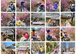 봄 나들이 다녀왔어요 ~ 벗꽃,진달래,목련 등 봄햇살 아래 봄향기 만끽하며 듬뿍 취해 너무나 즐거워하셨습니다^^